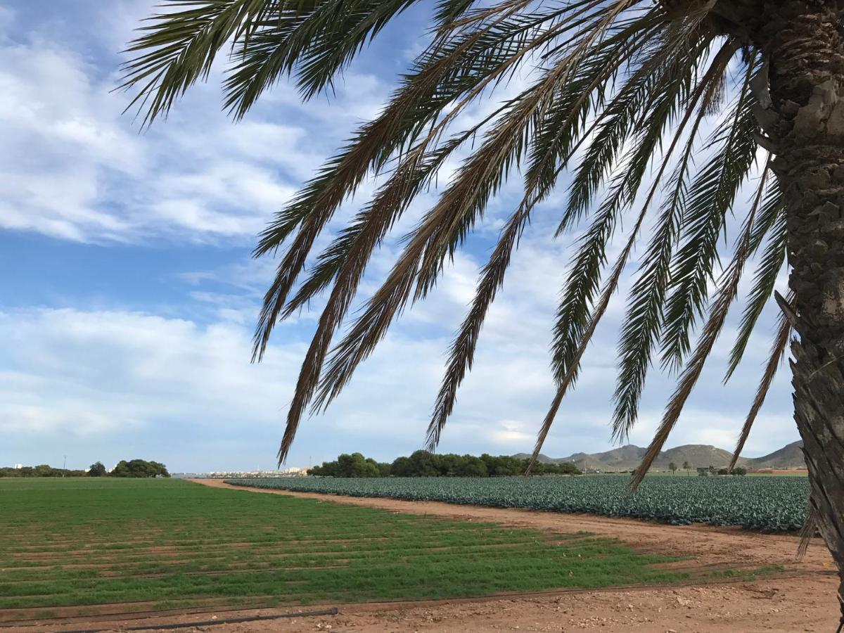 Casa Encanto - Ribera Beach In Mar De Cristal Eksteriør billede